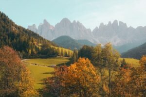 natures 01 1024x683